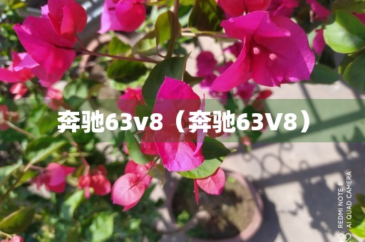 奔驰63v8（奔驰63V8）