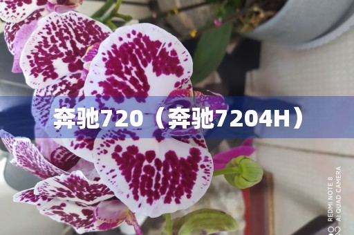 奔驰720（奔驰7204H）