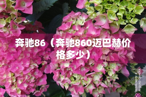 奔驰86（奔驰860迈巴赫价格多少）