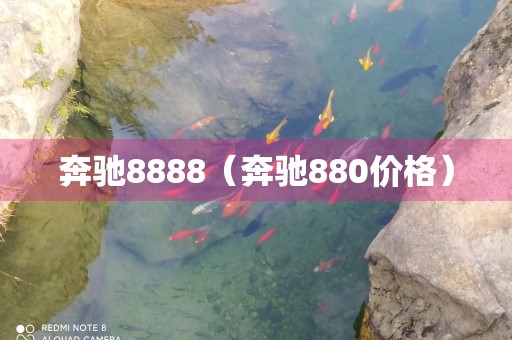 奔驰8888（奔驰880价格）