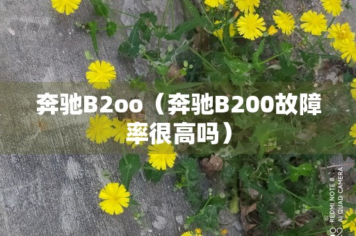 奔驰B2oo（奔驰B200故障率很高吗）