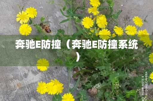 奔驰E防撞（奔驰E防撞系统）