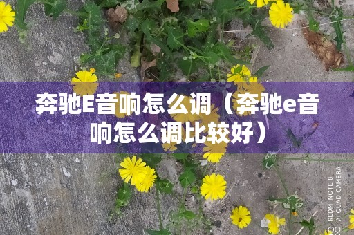 奔驰E音响怎么调（奔驰e音响怎么调比较好）