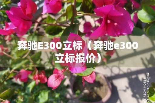 奔驰E300立标（奔驰e300立标报价）