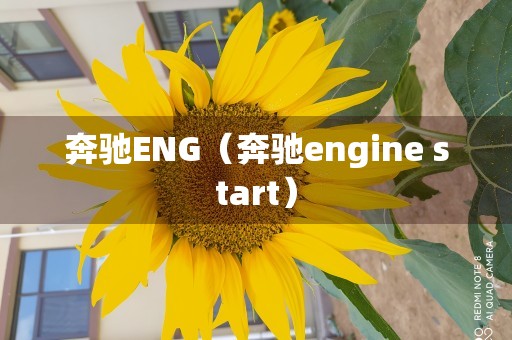 奔驰ENG（奔驰engine start）