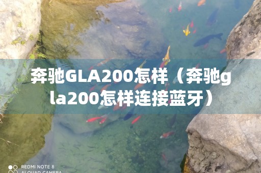 奔驰GLA200怎样（奔驰gla200怎样连接蓝牙）