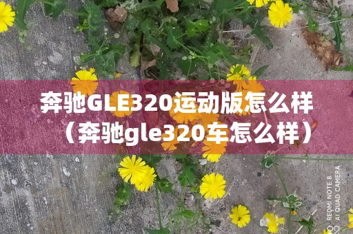 奔驰GLE320运动版怎么样（奔驰gle320车怎么样）