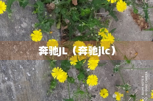 奔驰JL（奔驰jlc）