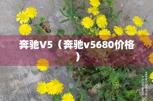 奔驰V5（奔驰v5680价格）