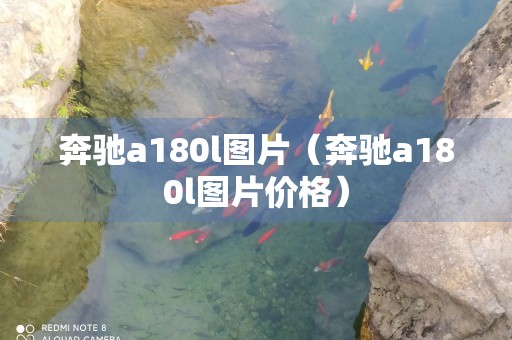 奔驰a180l图片（奔驰a180l图片价格）