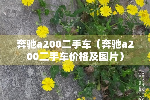 奔驰a200二手车（奔驰a200二手车价格及图片）