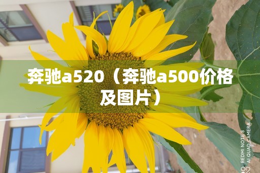 奔驰a520（奔驰a500价格及图片）