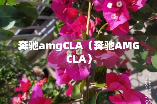 奔驰amgCLA（奔驰AMGCLA）