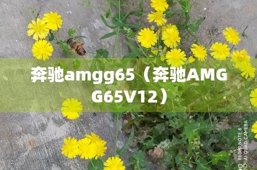 奔驰amgg65（奔驰AMGG65V12）