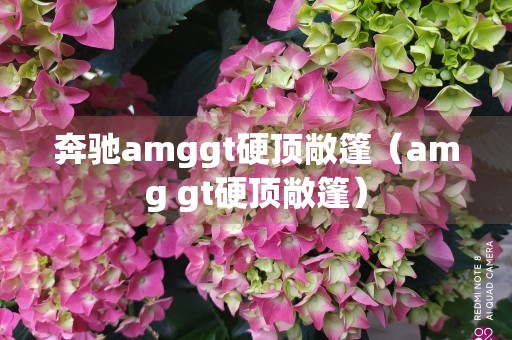 奔驰amggt硬顶敞篷（amg gt硬顶敞篷）