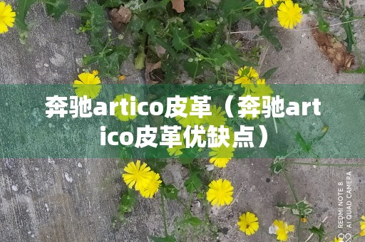 奔驰artico皮革（奔驰artico皮革优缺点）