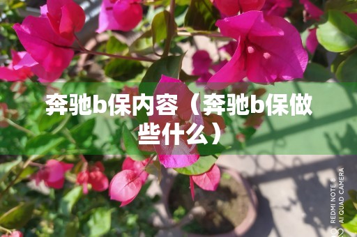 奔驰b保内容（奔驰b保做些什么）