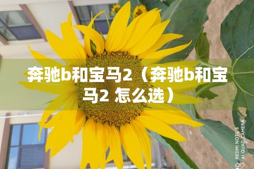 奔驰b和宝马2（奔驰b和宝马2 怎么选）