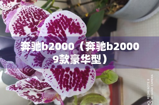 奔驰b2000（奔驰b20009款豪华型）