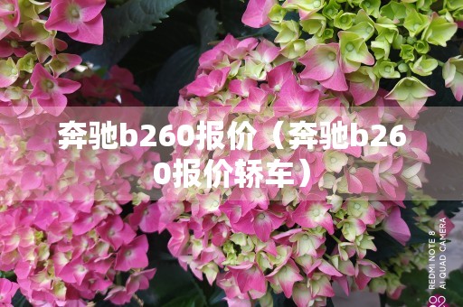 奔驰b260报价（奔驰b260报价轿车）