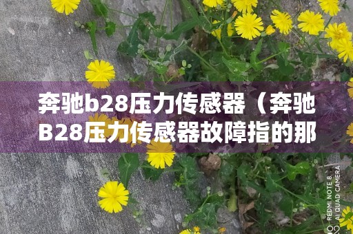 奔驰b28压力传感器（奔驰B28压力传感器故障指的那一个）