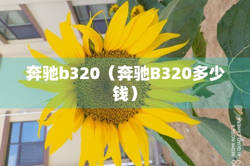 奔驰b320（奔驰B320多少钱）