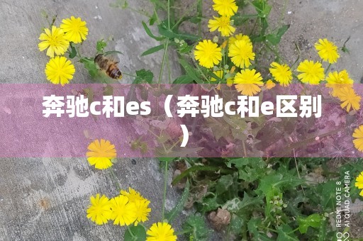 奔驰c和es（奔驰c和e区别）