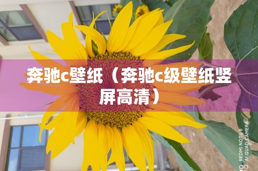 奔驰c壁纸（奔驰c级壁纸竖屏高清）