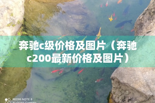 奔驰c级价格及图片（奔驰c200最新价格及图片）