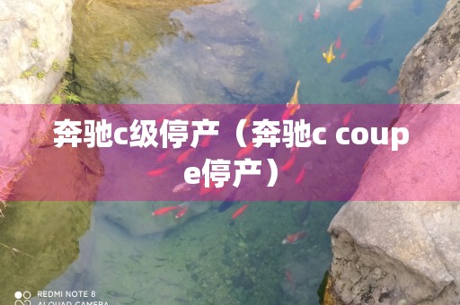 奔驰c级停产（奔驰c coupe停产）