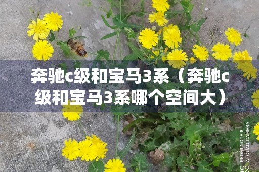 奔驰c级和宝马3系（奔驰c级和宝马3系哪个空间大）