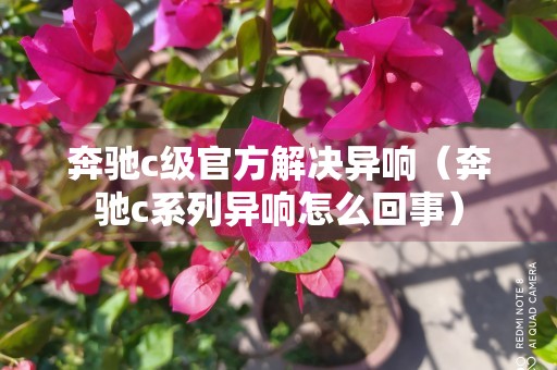 奔驰c级官方解决异响（奔驰c系列异响怎么回事）