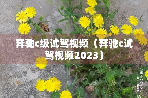 奔驰c级试驾视频（奔驰c试驾视频2023）