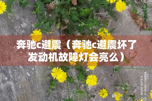 奔驰c避震（奔驰c避震坏了发动机故障灯会亮么）