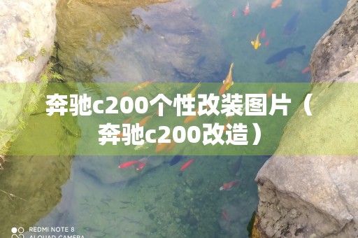 奔驰c200个性改装图片（奔驰c200改造）