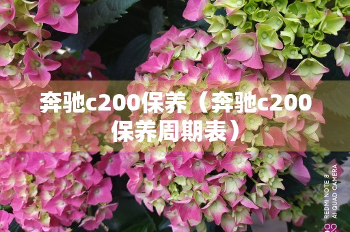 奔驰c200保养（奔驰c200保养周期表）