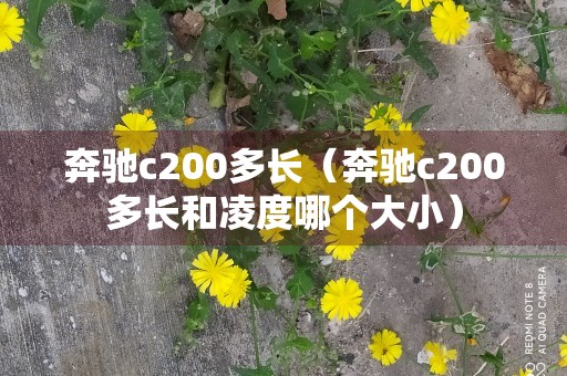 奔驰c200多长（奔驰c200多长和凌度哪个大小）