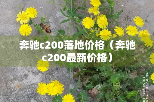 奔驰c200落地价格（奔驰c200最新价格）