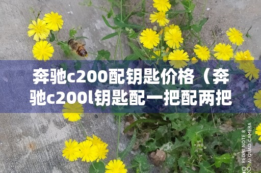 奔驰c200配钥匙价格（奔驰c200l钥匙配一把配两把价格差不多么）