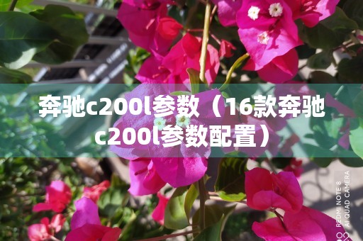 奔驰c200l参数（16款奔驰c200l参数配置）