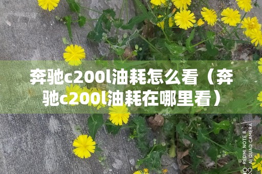 奔驰c200l油耗怎么看（奔驰c200l油耗在哪里看）