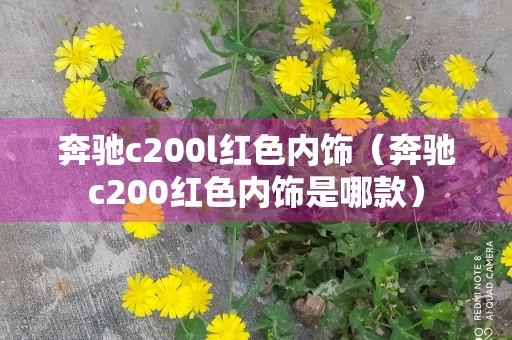 奔驰c200l红色内饰（奔驰c200红色内饰是哪款）