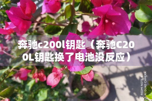 奔驰c200l钥匙（奔驰C200L钥匙换了电池没反应）