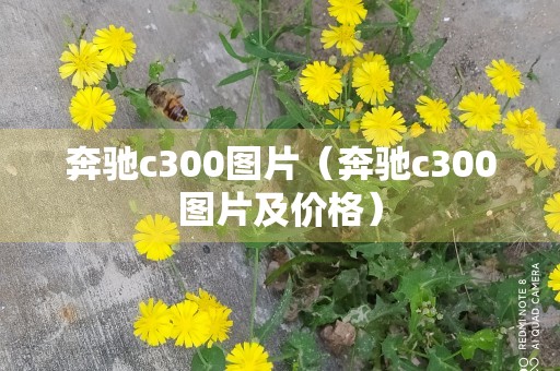 奔驰c300图片（奔驰c300图片及价格）