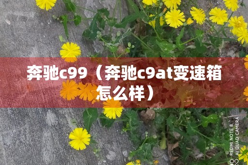 奔驰c99（奔驰c9at变速箱怎么样）