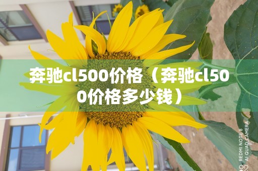 奔驰cl500价格（奔驰cl500价格多少钱）