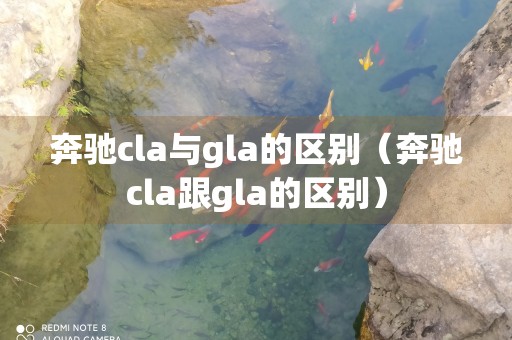 奔驰cla与gla的区别（奔驰cla跟gla的区别）