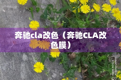 奔驰cla改色（奔驰CLA改色膜）