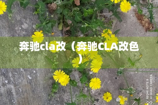 奔驰cla改（奔驰CLA改色）