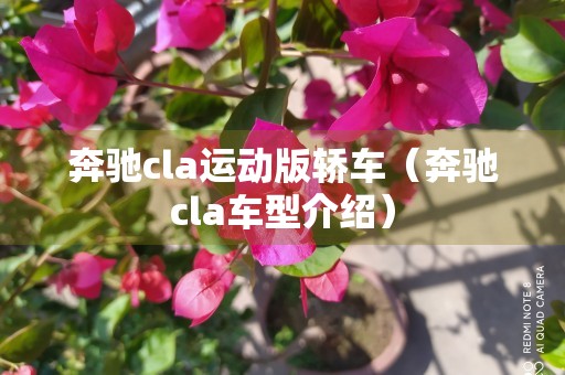 奔驰cla运动版轿车（奔驰cla车型介绍）